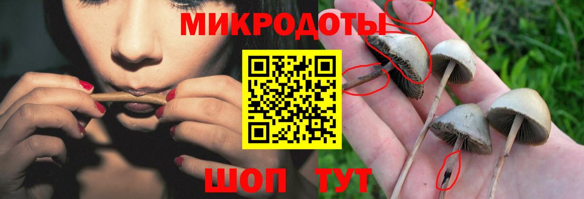 Псилоцибиновые грибы мицелий  где можно купить   Галлюциногенные грибы Psilocybine cubensis  Изобильный  Вход с VPN 